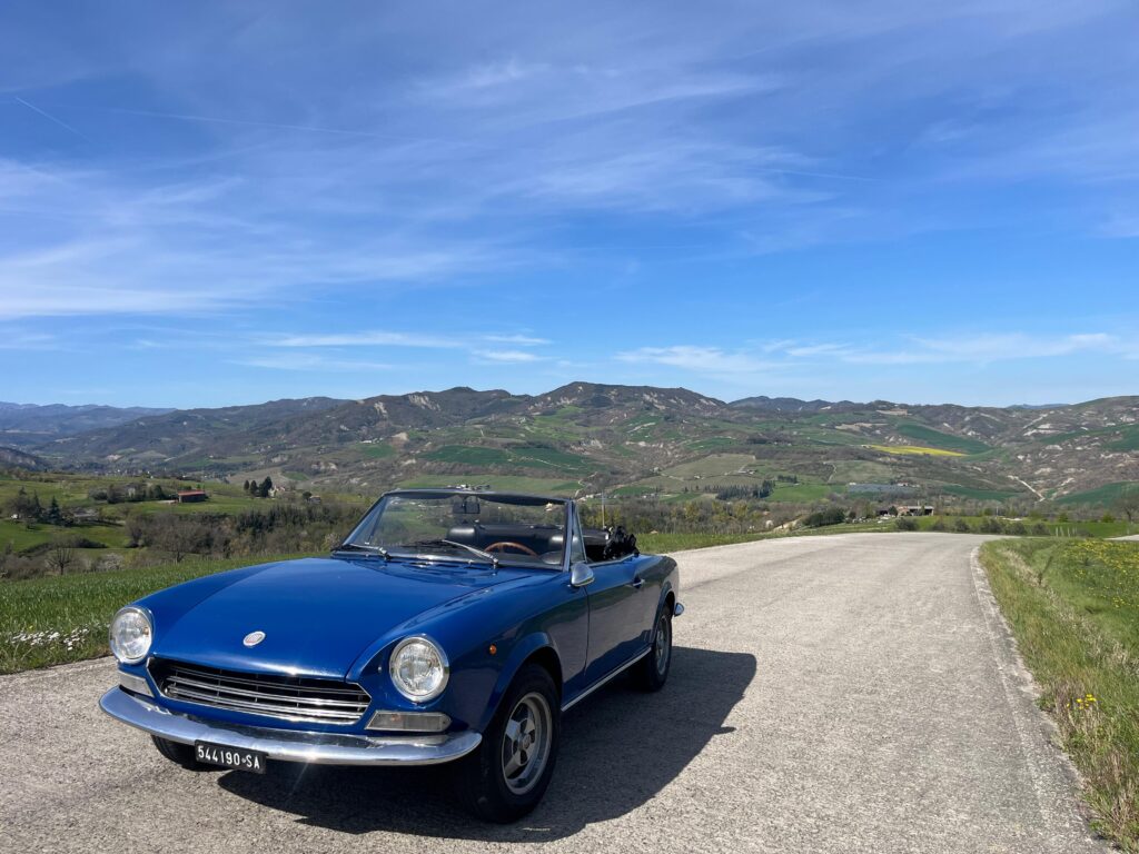 whatsapp image 2026 04 09 at 08.56.17